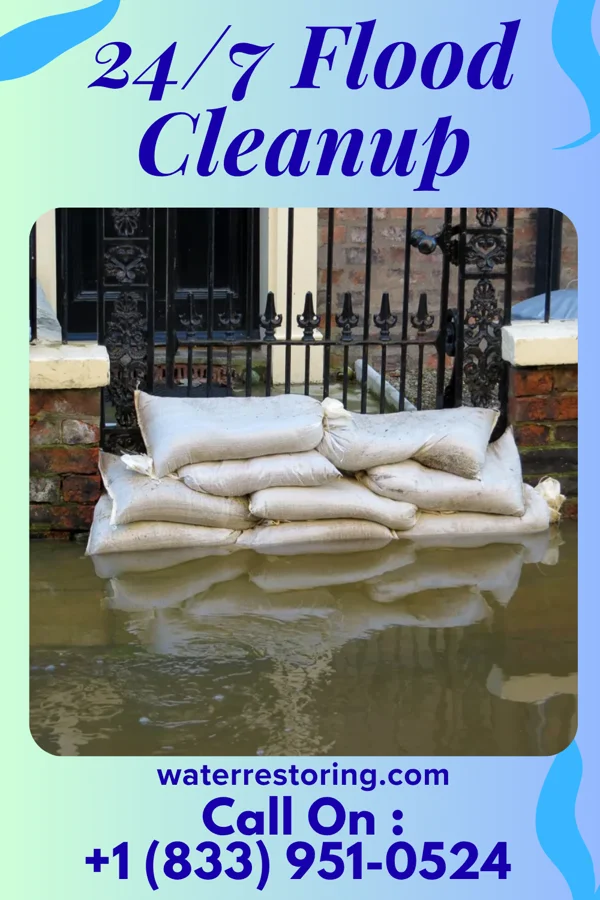 24/7 Flood Cleanup in Reinbeck, IA