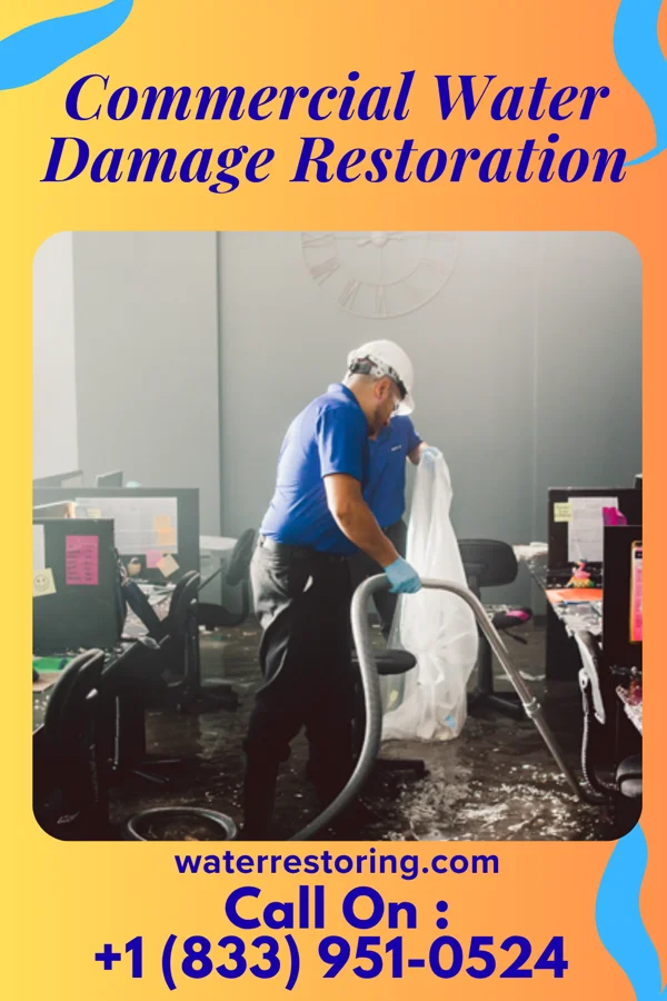 Commercial Water Damage Restoration in Reinbeck, IA