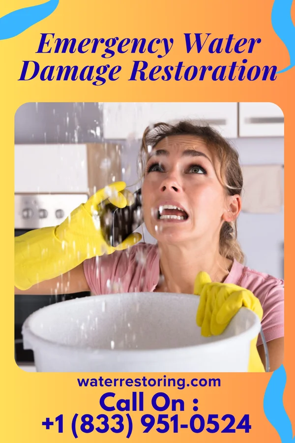 Emergency Water Damage Restoration in Reinbeck, IA