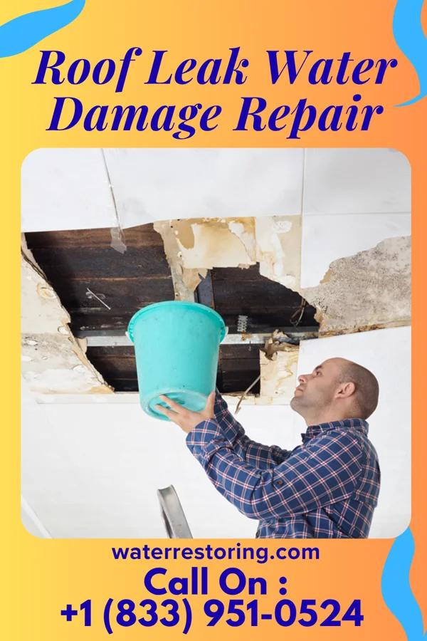 Roof Leak Water Damage Repair in Reinbeck, IA