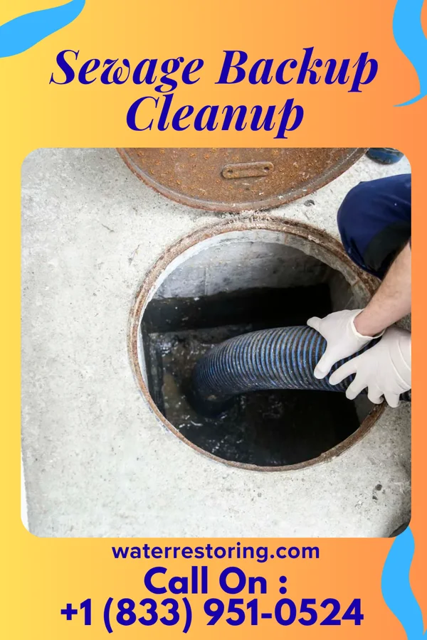 Sewage Backup Cleanup in Reinbeck, IA