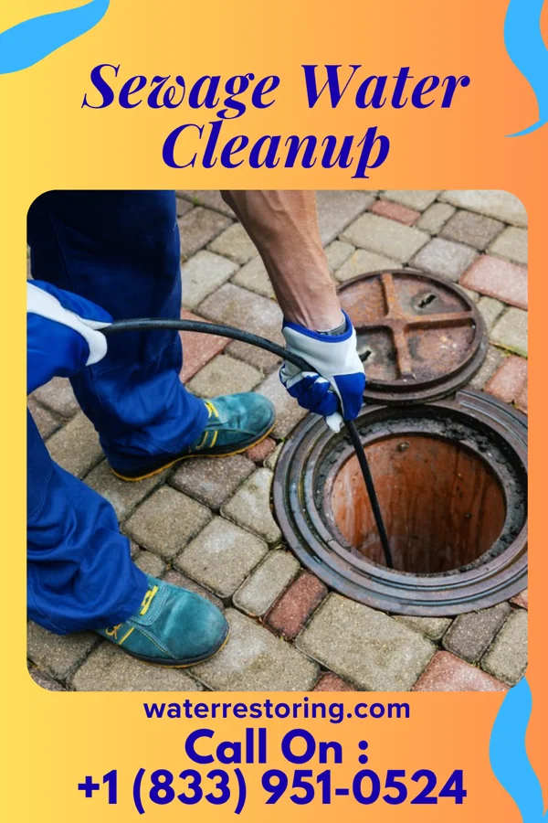 Sewage Water Cleanup in Reinbeck, IA